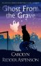 [Chantilly Adair Psychic Medium 04] • Ghost From the Grave · A Chantilly Adair Paranormal Cozy Mystery (The Chantilly Adair Paranormal Cozy Mystery Series Book 4)